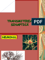 Transmiterea Sinaptica