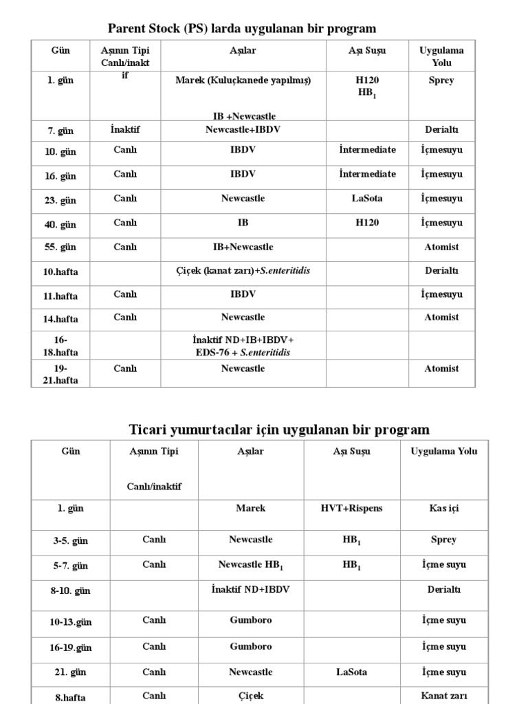 Kanatli Asi Programi Pdf