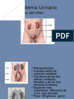 Funciones de Riño