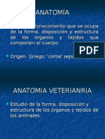 1 introduccios a la anatomia TERMINOLOGÍA ANATÓMICA.ppt