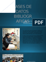 Bases de Datos Bibliograficas Diapositivas Yesid Peña