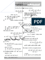 Division Algebraica