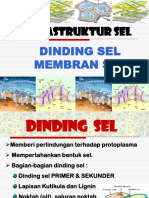 Dinding & Membran Sel 8 &9 PDF