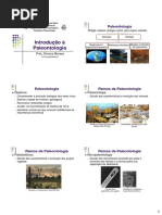 Aula 1 - Introducao a Paleontologia