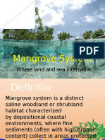 Mangrove System