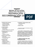 Replicacion Eucaritas (Libro)