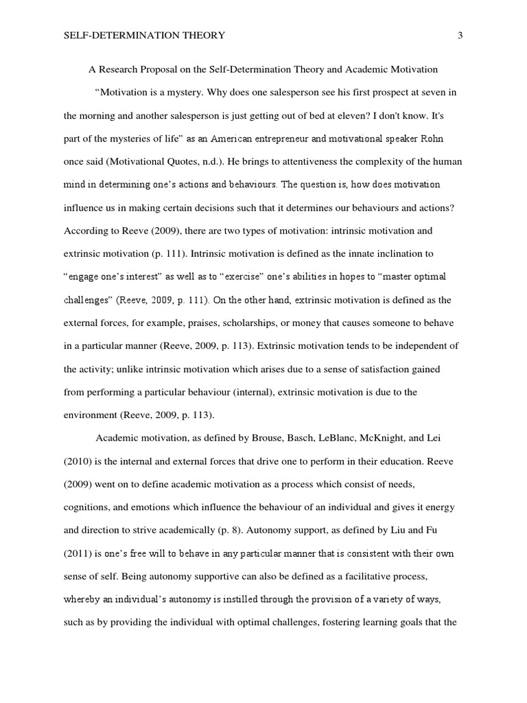 Self-Determination Theory & Academic Motivation | PDF | Motivation ...