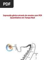 Expressão gênica por qPCR