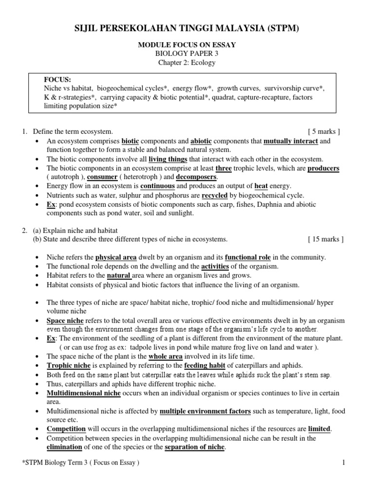 Speech on focus picture