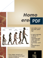 Homo erectus.pptx