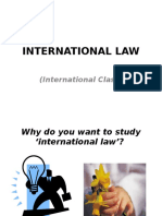 International Law Int Class