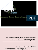 Developing Change Capable Organizations: Group 3