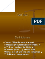 Cacao