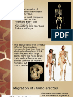 Migration & Evolution of Early Humans