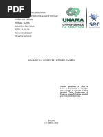 Trabalho InÊs de Castro.docx