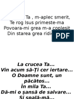 La Crucea Ta, M-Aplec Smerit