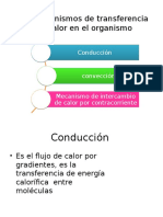 termoregulacion