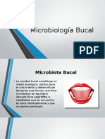 Microbiología Bucal
