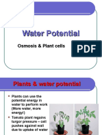 Water Potential