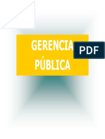 GEPU - UNMSM - Gerencia Pública (1)