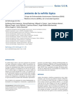 Diagnóstico y Tratamiento de La Nefritis Lúpica - Revista Nefrología