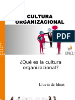 Cultura Organizacional1