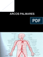 08 Introduccion a Las Fesp