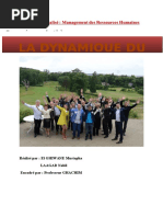 Exposé Dynamique Du Groupe Version Finale