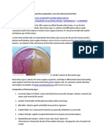 Download Principles of MacConkey Agar Mannitol Salt Agar Blood Agar Plate and Chocolate Agar Plate by Judith Anne Talitha Pada SN323675471 doc pdf