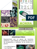 Reino Monera PDF