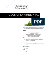 Proyecto Eco. Amb