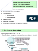 Membrana Plasmatica