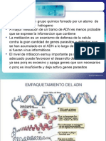 Epigenetica 1