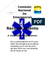 Comisión Nacional de Emergencias ACUATICO