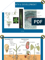 Bab 7-Plant Growth & Development KRT PDF