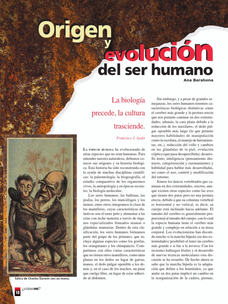 Origen y Evolucion Del Ser Humano PDF | PDF | Homo | neanderthal