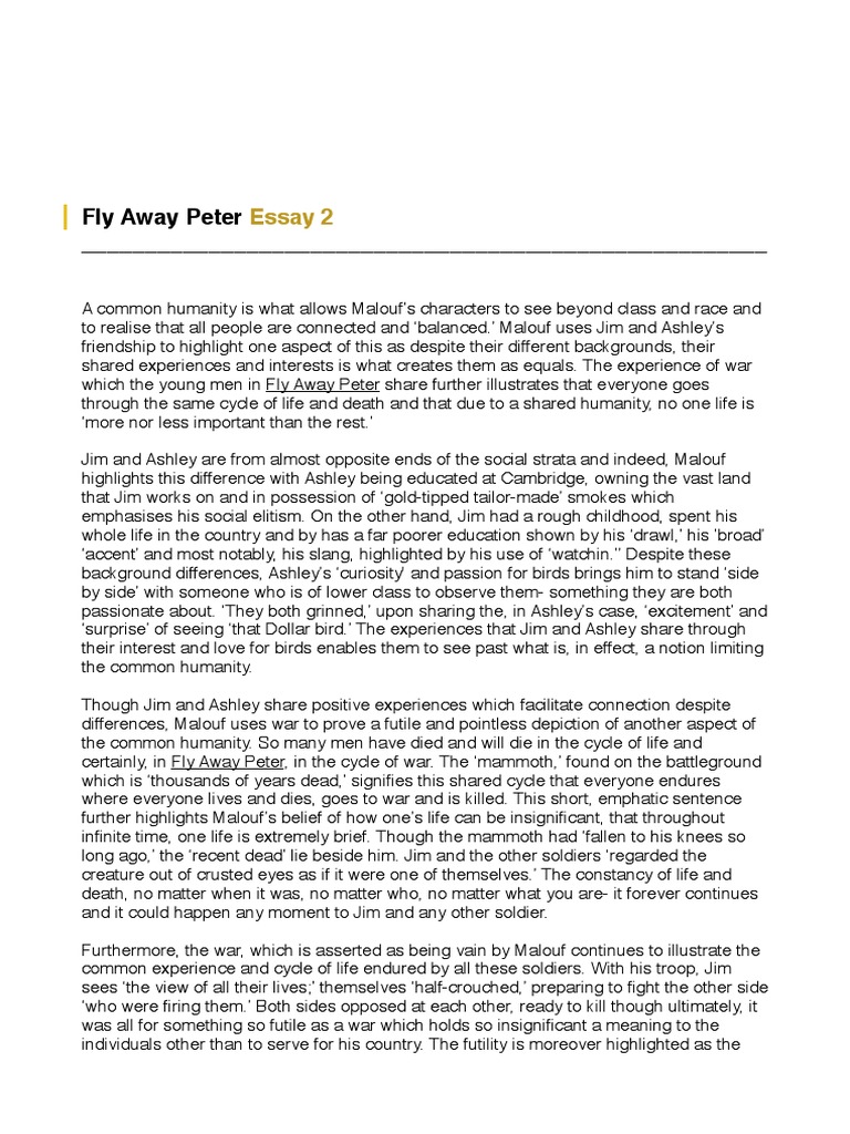 Fly Away Peter Essay Philosophical Science Science