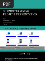 Summer Report On WEB Development