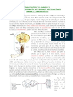 TONO MUSCULAR TEORIA.pdf