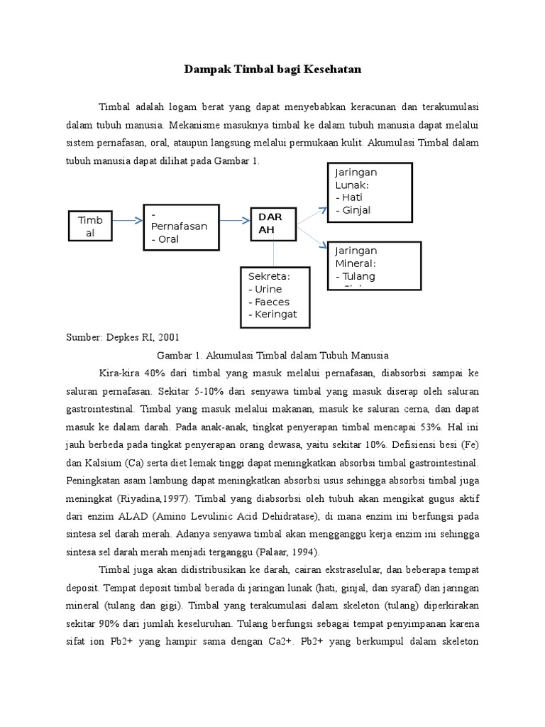 Dampak Timbal Bagi Kesehatan PDF
