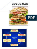 System Life Cycle Sandwich