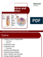 Cell Structure and Function