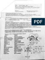 Biology Revision - VI - ICSE