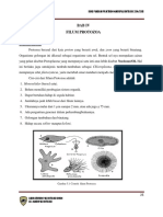 Protozoa.pdf