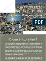 OS PROBLEMAS GERADOS PELO LIXO.pptx