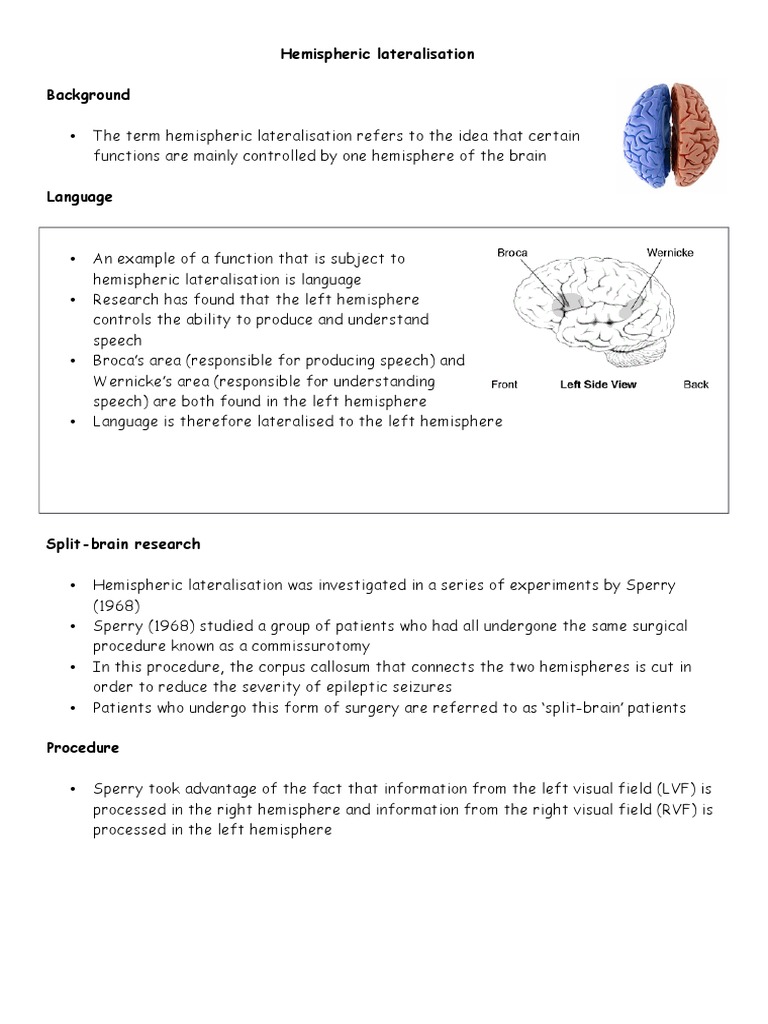 Hemispheric Lateralisation Lateralization Of Brain Function