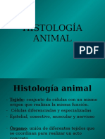 Histologa Animal 1200416965612600 5