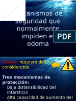 Mecanismos de Seguridad Ante El Edema