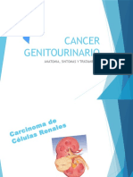 Cancer Genitourinario