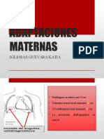 Adaptaciones Maternas